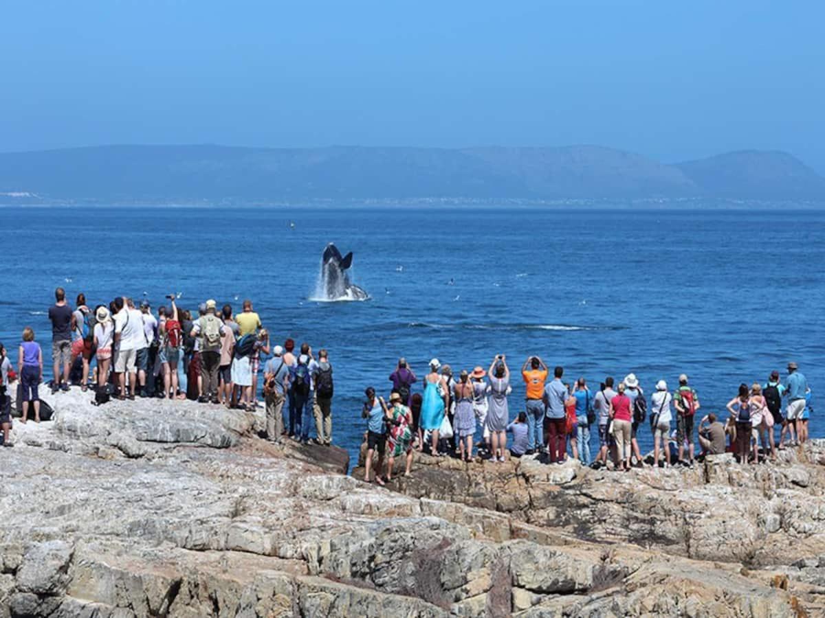 Hermanus Waterfront Apartment Pokój zdjęcie